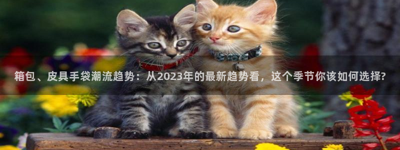 琳琅娱乐周7O777