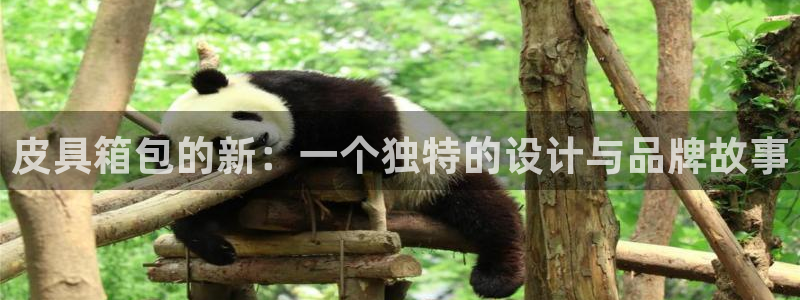 琳琅娱乐工作室招聘信息