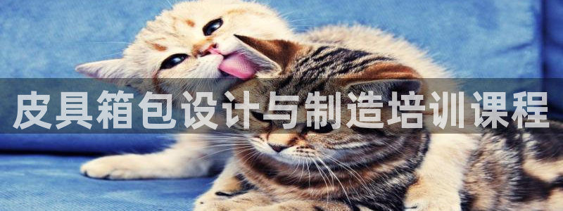 琳琅科技娱乐