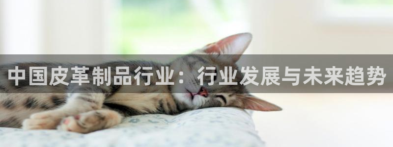 琳琅娱乐黑钱