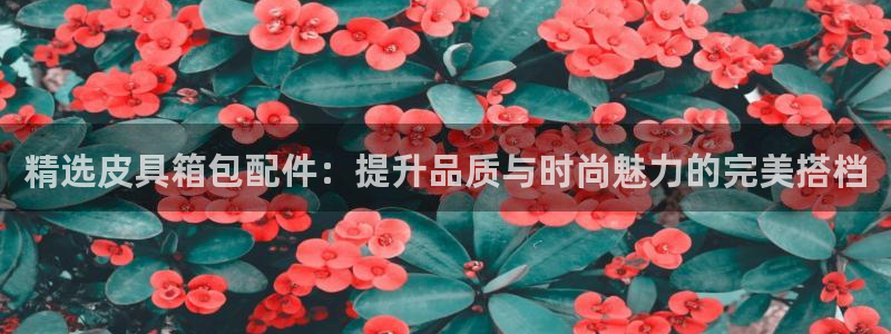 琳琅娱乐平台是真的吗