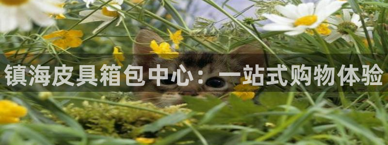 琳琅娱乐信誉33300