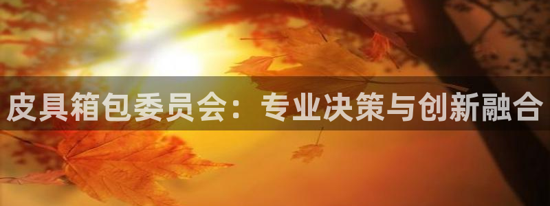 琳琅娱乐工作室地址