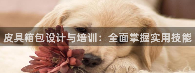 琳琅娱乐机器人