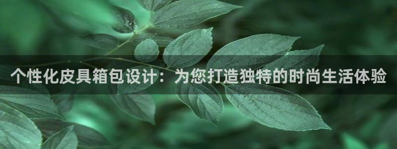 琳琅娱乐代理21192