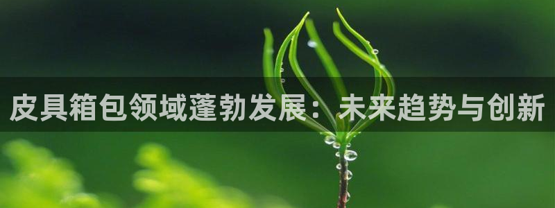 琳琅科技娱乐机器人下载