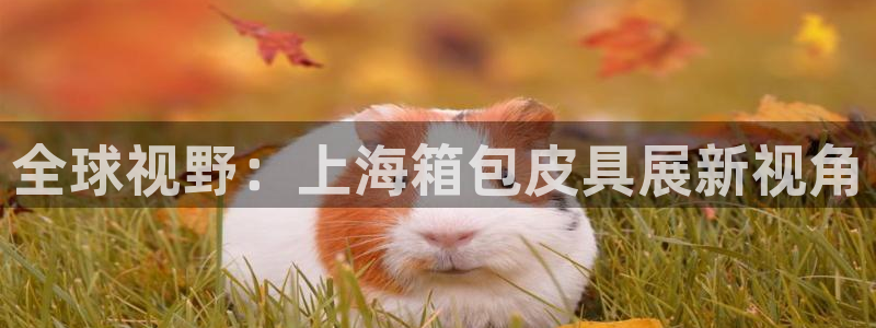 琳琅娱乐黑钱