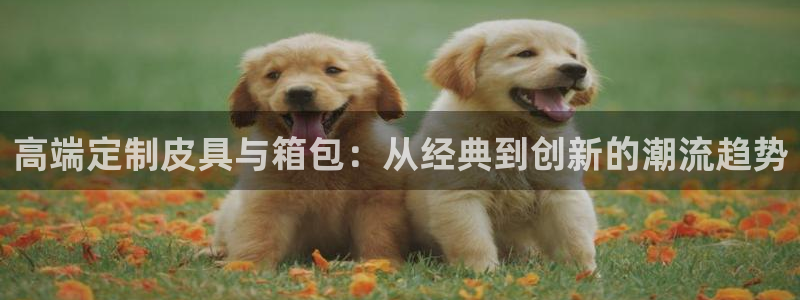 琳琅娱乐怎么样