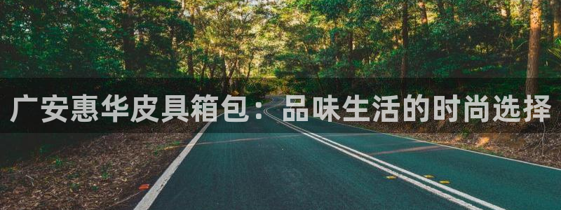 琳琅科技娱乐机器人