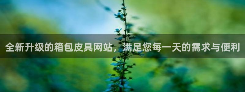 琳琅娱乐工作室招聘