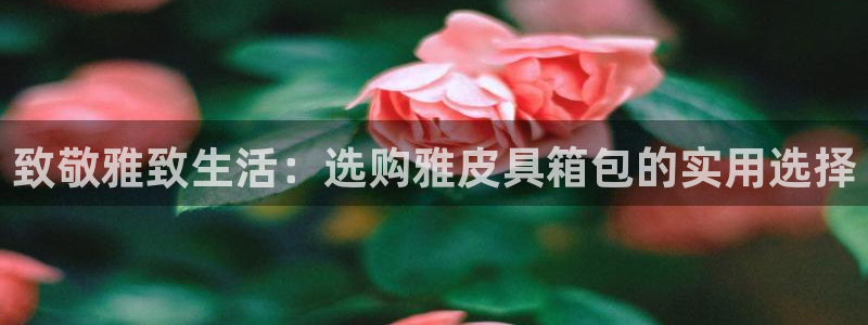 琳琅娱乐八卦