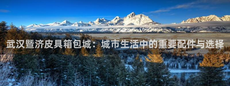 琳琅娱乐组飞车