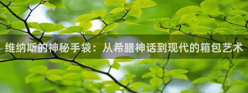 琳琅娱乐主管是谁