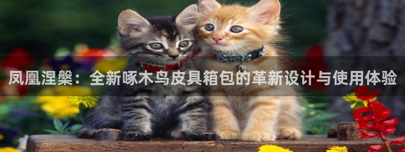 琳琅娱乐工作室怎么样啊