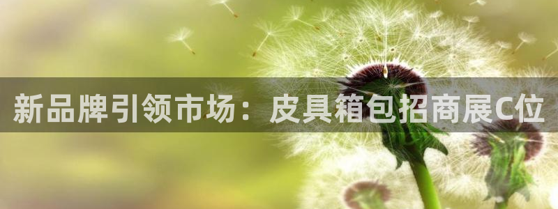 琳琅娱乐总代