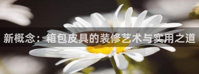 琳琅娱乐工作室招聘信息