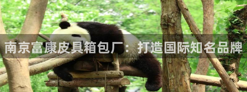 琳琅娱乐在哪直播的