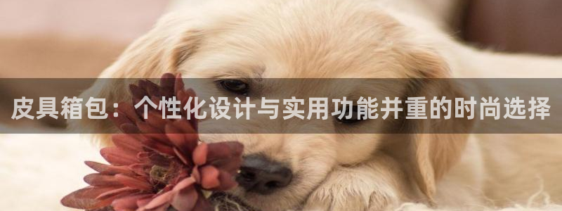 琳琅娱乐登入官网