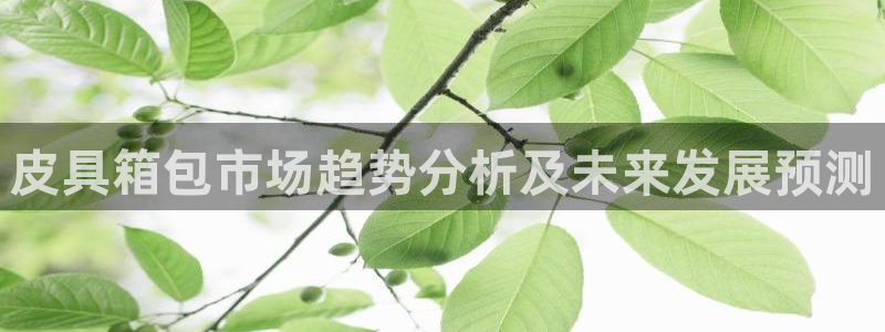 琳琅娱乐组飞车