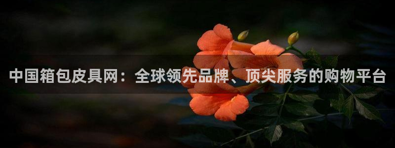 青娱娱乐琳琅导航