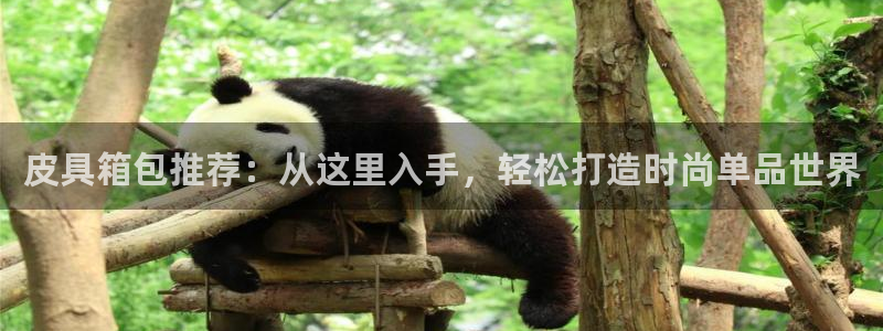 琳琅科技娱乐