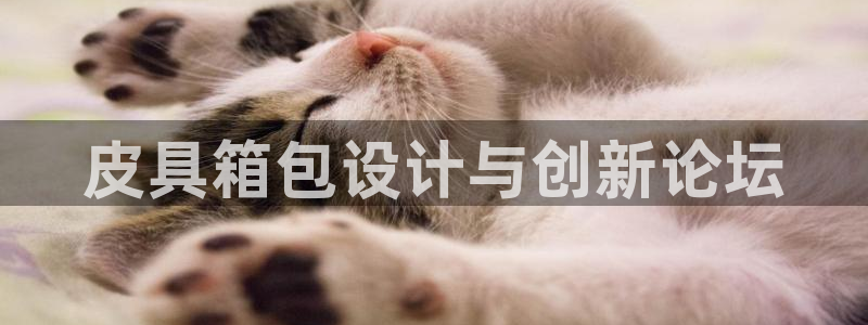 娱乐从琳琅榜开始