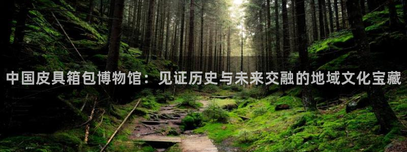 琳琅科技娱乐机器人插件