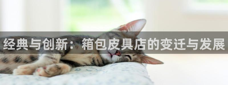 琳琅社区综艺文化娱乐