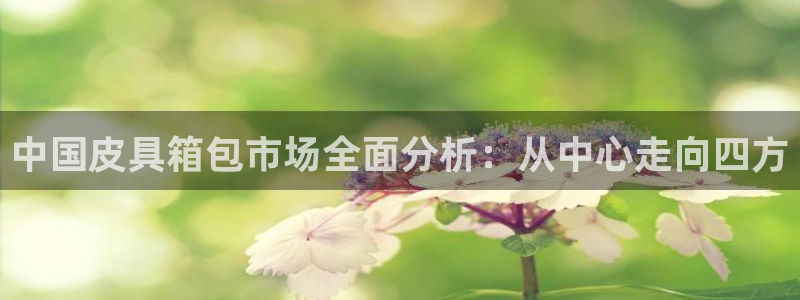 琳琅科技娱乐机器人插件