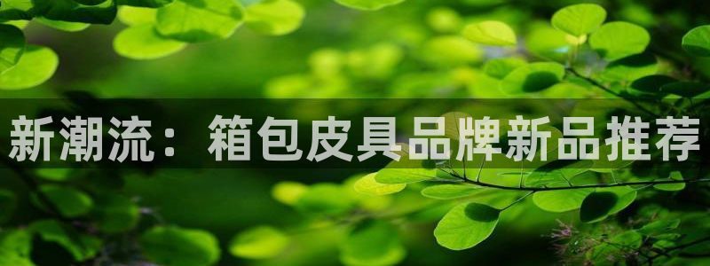 琳琅娱乐场所在哪里