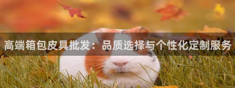 琳琅娱乐开户