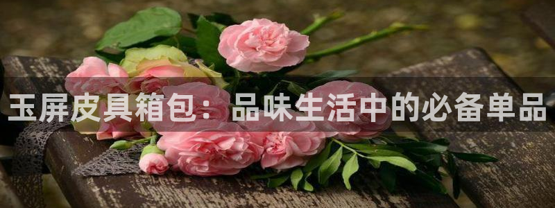 琳琅娱乐代理怎么样