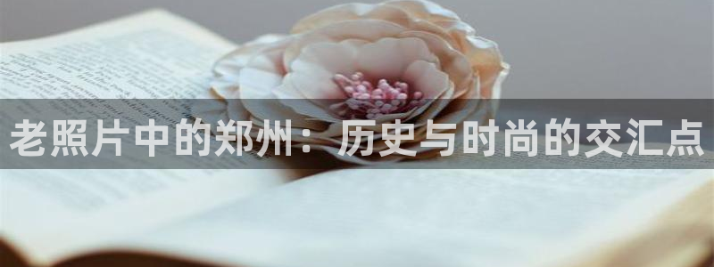 琳琅娱乐代理怎么做