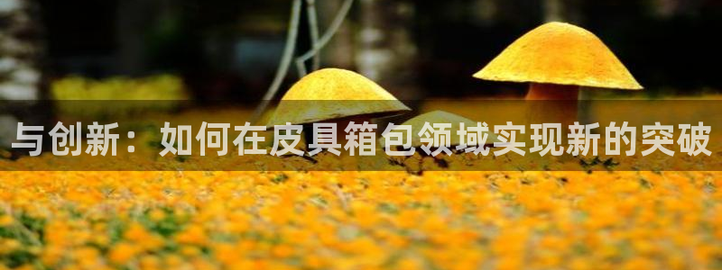 琳琅娱乐官网