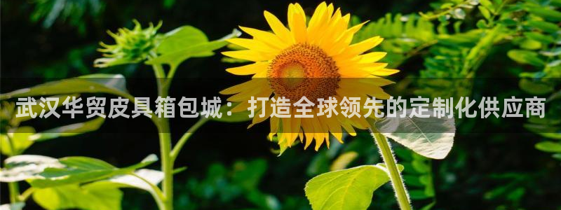 琳琅娱乐主管是谁