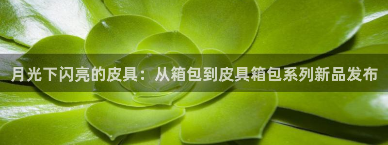 琳琅国际娱乐会所怎么样