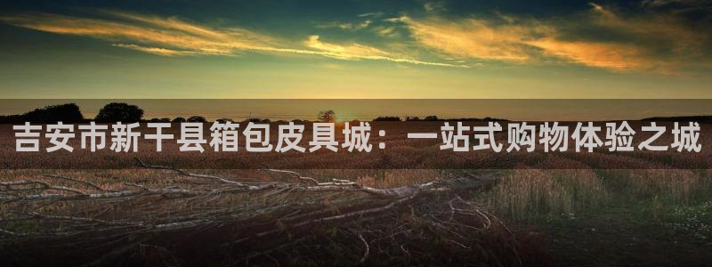 琳琅科技娱乐机器人插件