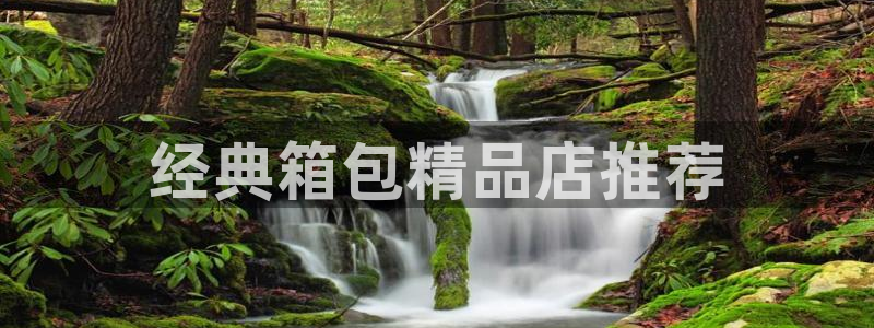 娱乐从琳琅榜开始的小说