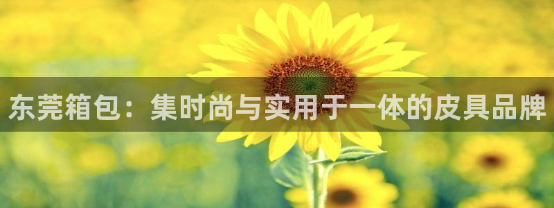 琳琅科技娱乐机器人教程
