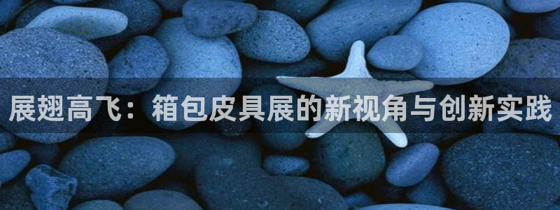 琳琅娱乐组飞车