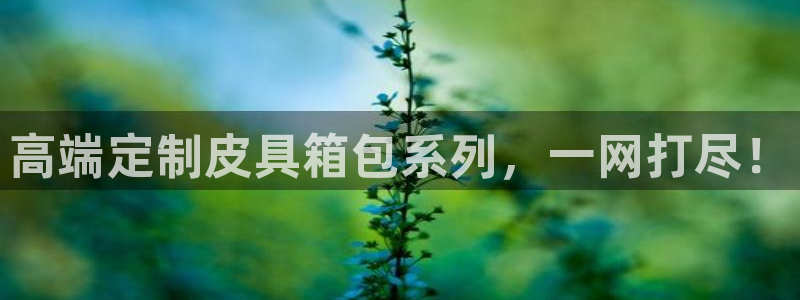 琳琅娱乐社区