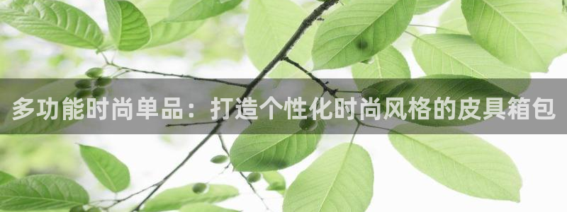 琳琅娱乐平台帐7O777