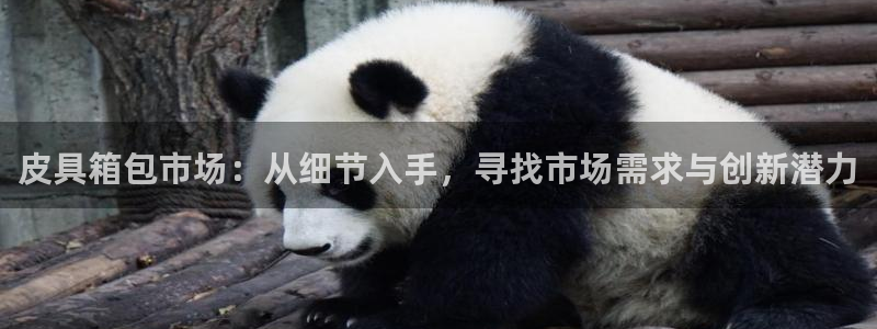琳琅娱乐工作室招聘