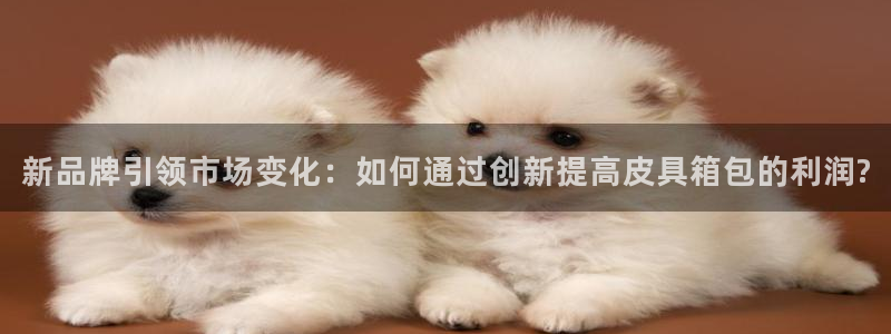 琳琅娱乐代理注册