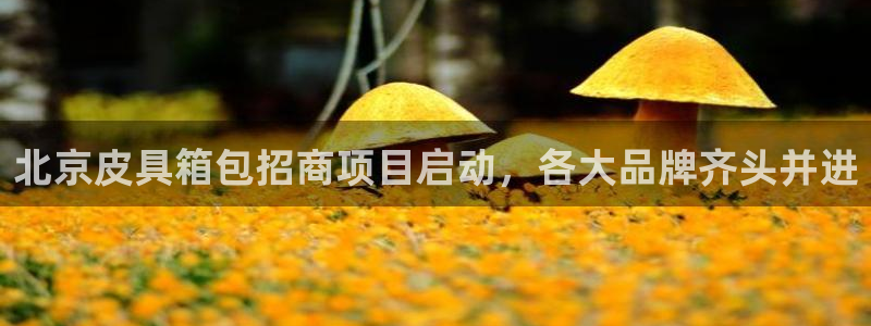 琳琅娱乐代理怎么做的