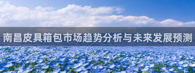 琳琅娱乐足球