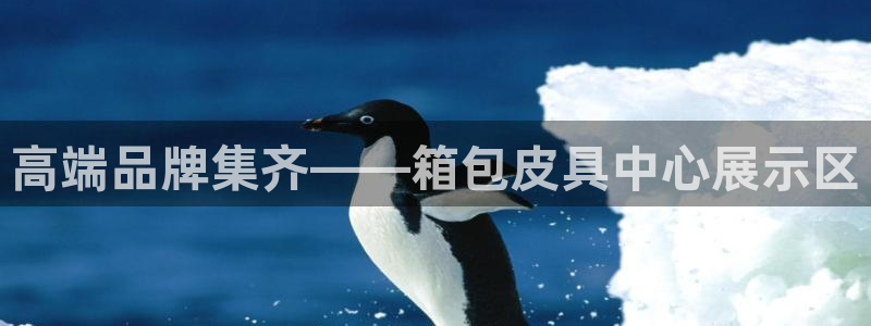 琳琅娱乐社区600