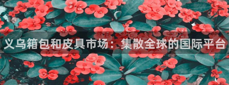 琳琅娱乐平台是真的吗