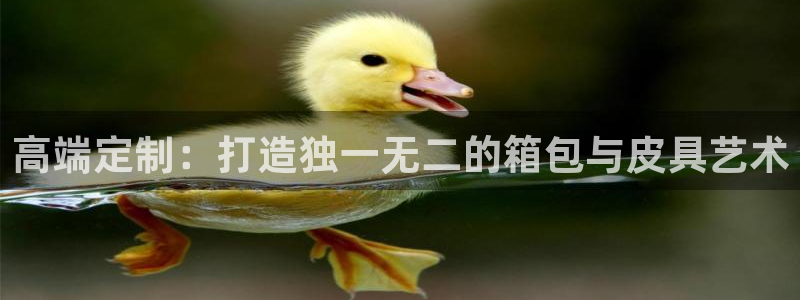 琳琅娱乐直播