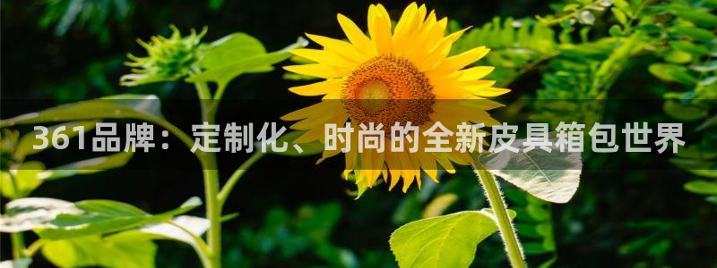 琳琅娱乐怎么样知乎